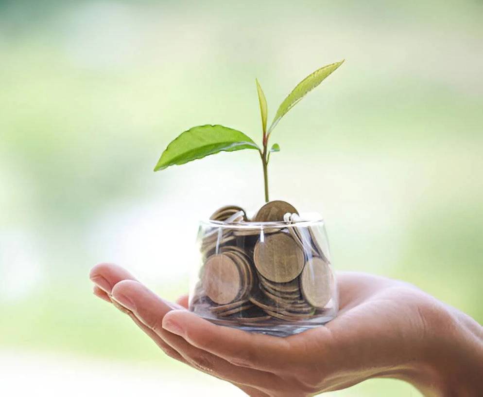 coins in glass container with tree coins in glass container with tree