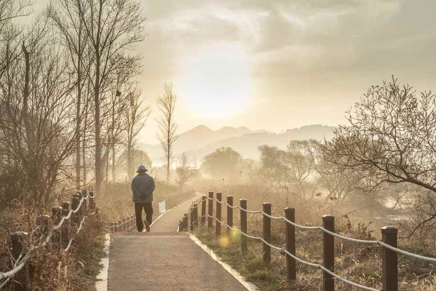old-man-walking-pathway